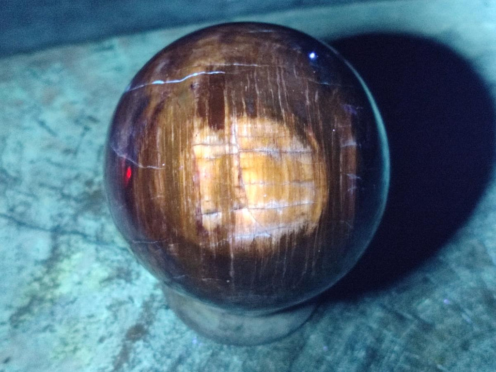 Polished Red Podocarpus Petrified Wood Spheres x 2 From Mahajanga, Madagascar - Toprock Gemstones and Minerals 