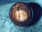 Polished Red Podocarpus Petrified Wood Spheres x 2 From Mahajanga, Madagascar - Toprock Gemstones and Minerals 