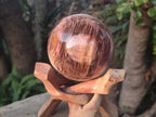 Polished Red Podocarpus Petrified Wood Spheres x 2 From Mahajanga, Madagascar - Toprock Gemstones and Minerals 