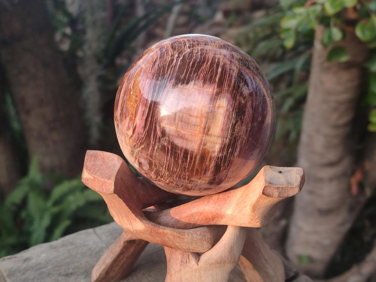 Polished Red Podocarpus Petrified Wood Spheres x 2 From Mahajanga, Madagascar - Toprock Gemstones and Minerals 