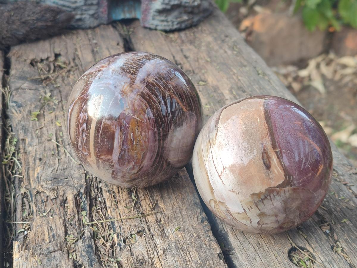 Polished Red Podocarpus Petrified Wood Spheres x 2 From Mahajanga, Madagascar - Toprock Gemstones and Minerals 