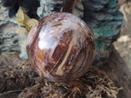 Polished Red Podocarpus Petrified Wood Spheres x 2 From Mahajanga, Madagascar - Toprock Gemstones and Minerals 