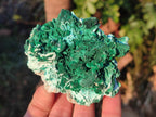 Natural Rare Malachite Pseudomorph Specimens with Associated x 6 From Kolwezi, Congo - Toprock Gemstones and Minerals 