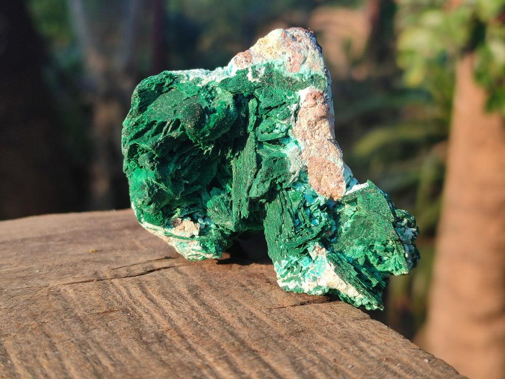 Natural Rare Malachite Pseudomorph Specimens with Associated x 6 From Kolwezi, Congo - Toprock Gemstones and Minerals 