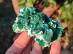 Natural Rare Malachite Pseudomorph Specimens with Associated x 6 From Kolwezi, Congo - Toprock Gemstones and Minerals 