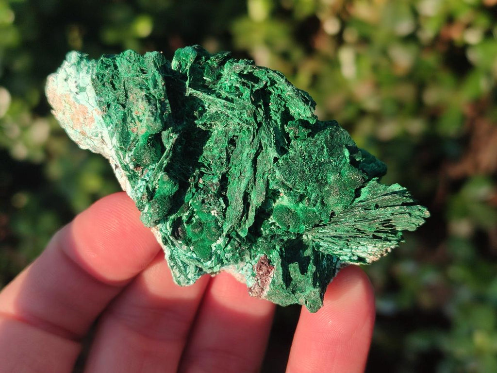 Natural Rare Malachite Pseudomorph Specimens with Associated x 6 From Kolwezi, Congo - Toprock Gemstones and Minerals 