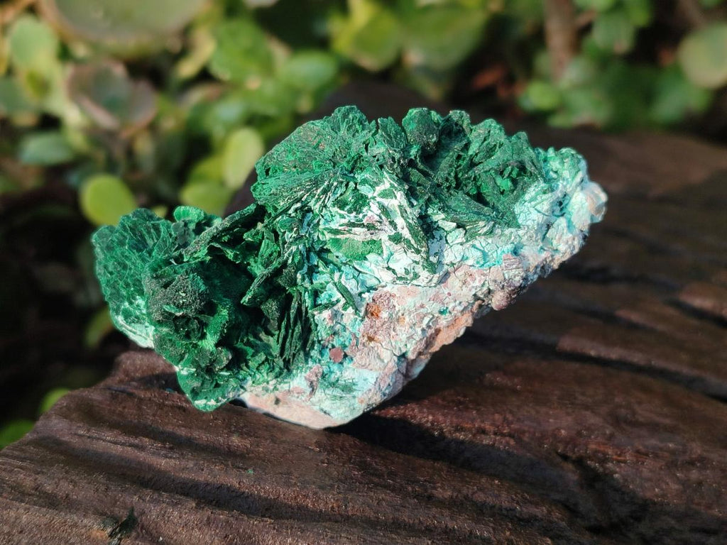 Natural Rare Malachite Pseudomorph Specimens with Associated x 6 From Kolwezi, Congo - Toprock Gemstones and Minerals 