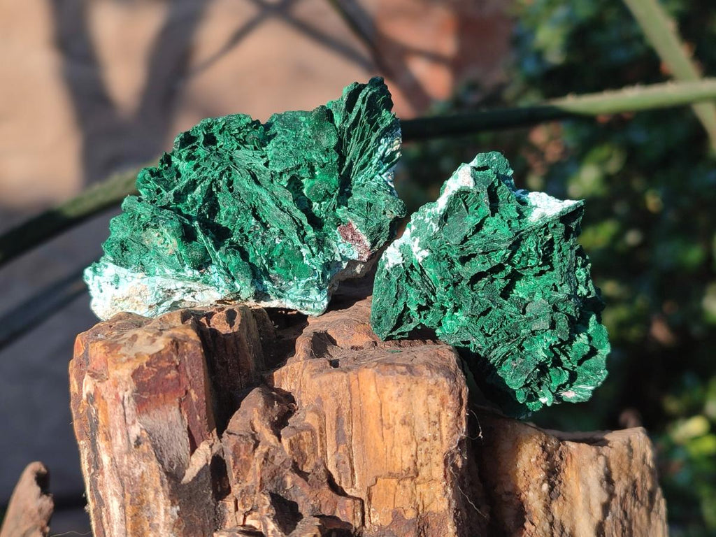 Natural Rare Malachite Pseudomorph Specimens with Associated x 6 From Kolwezi, Congo - Toprock Gemstones and Minerals 