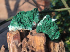 Natural Rare Malachite Pseudomorph Specimens with Associated x 6 From Kolwezi, Congo - Toprock Gemstones and Minerals 