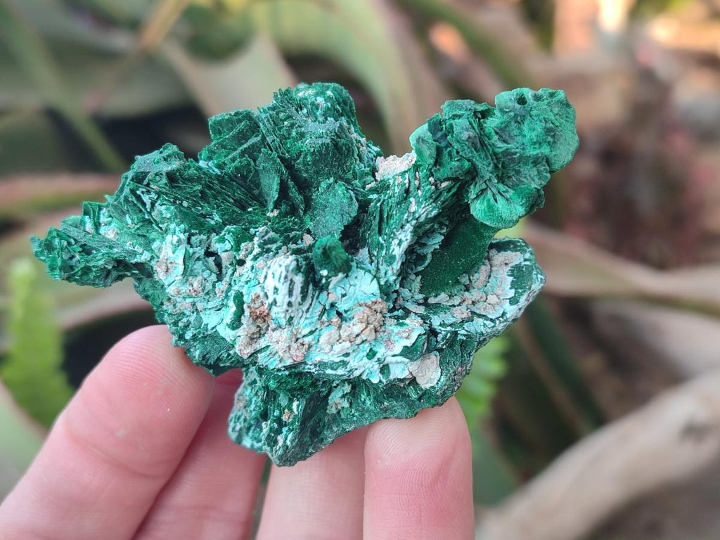Natural Rare Malachite Pseudomorph Specimens with Associated x 6 From Kolwezi, Congo - Toprock Gemstones and Minerals 