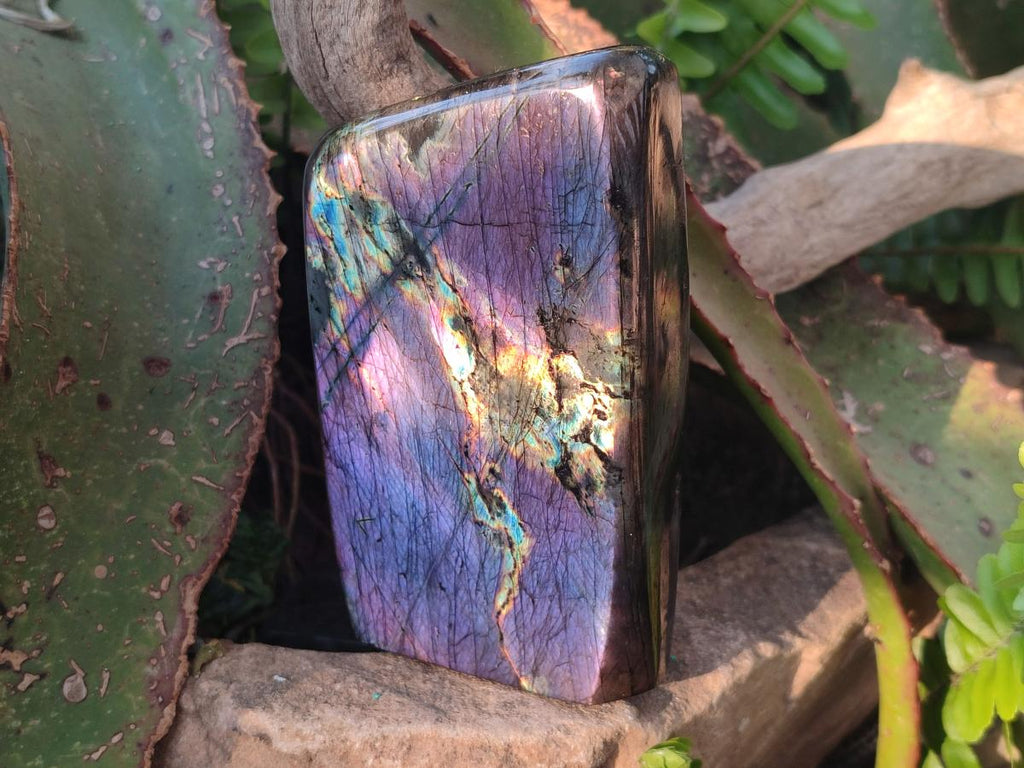 Polished Labradorite Standing Display Pieces x 2 From Madagascar - Toprock Gemstones and Minerals 
