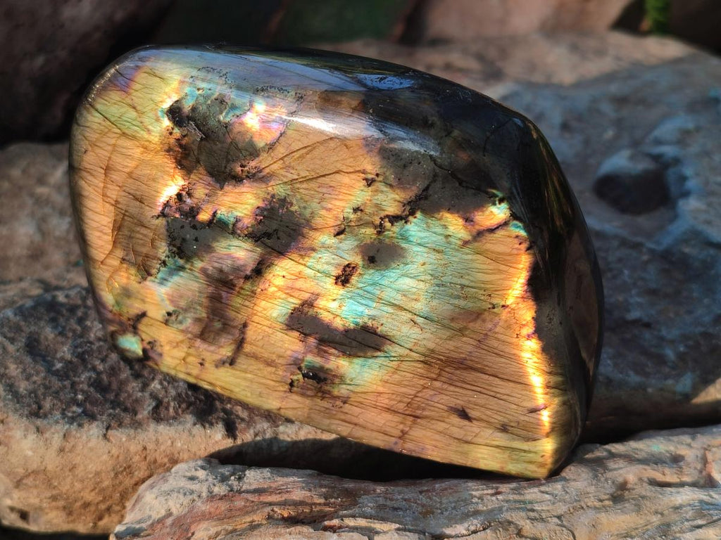 Polished Labradorite Standing Display Pieces x 2 From Madagascar - Toprock Gemstones and Minerals 