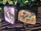Polished Labradorite Standing Display Pieces x 2 From Madagascar - Toprock Gemstones and Minerals 