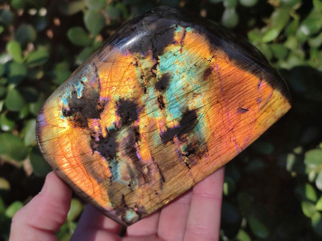Polished Labradorite Standing Display Pieces x 2 From Madagascar - Toprock Gemstones and Minerals 