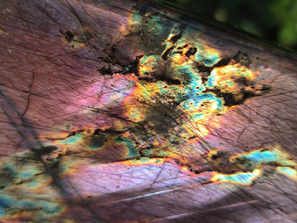 Polished Labradorite Standing Display Pieces x 2 From Madagascar - Toprock Gemstones and Minerals 