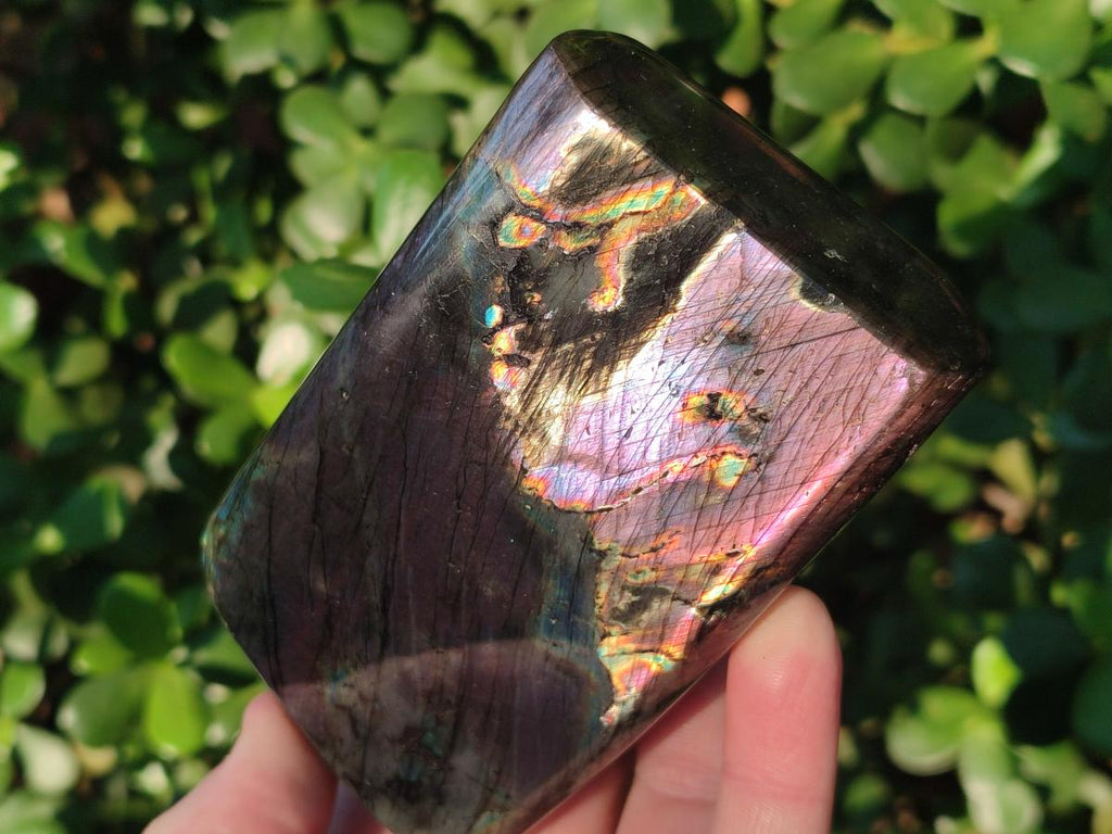 Polished Labradorite Standing Display Pieces x 2 From Madagascar - Toprock Gemstones and Minerals 