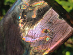 Polished Labradorite Standing Display Pieces x 2 From Madagascar - Toprock Gemstones and Minerals 