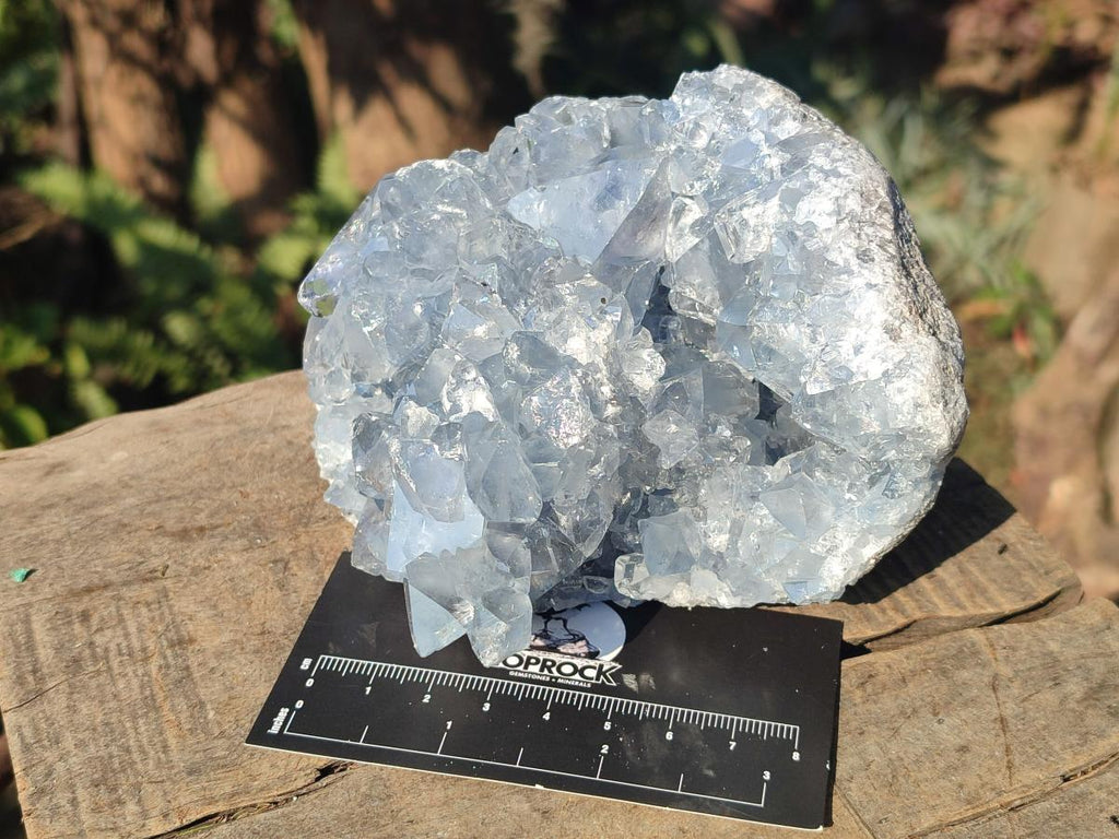 Natural Blue Celestite Specimens x 3 From Sakoany, Madagascar - Toprock Gemstones and Minerals 
