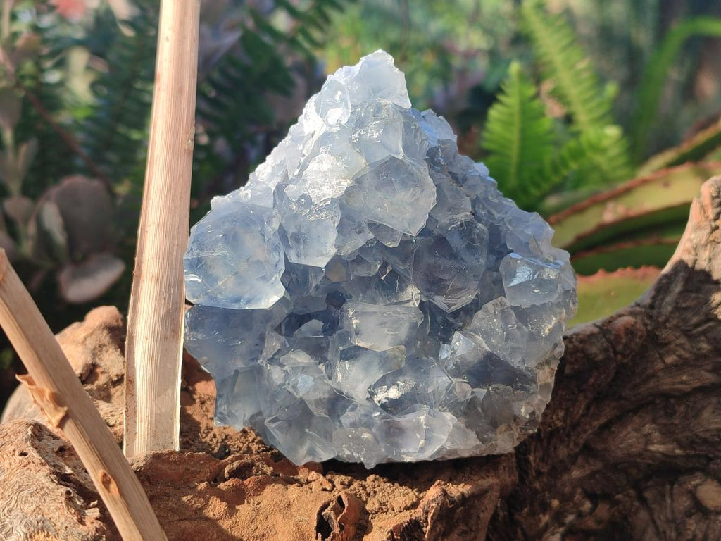 Natural Blue Celestite Specimens x 3 From Sakoany, Madagascar - Toprock Gemstones and Minerals 