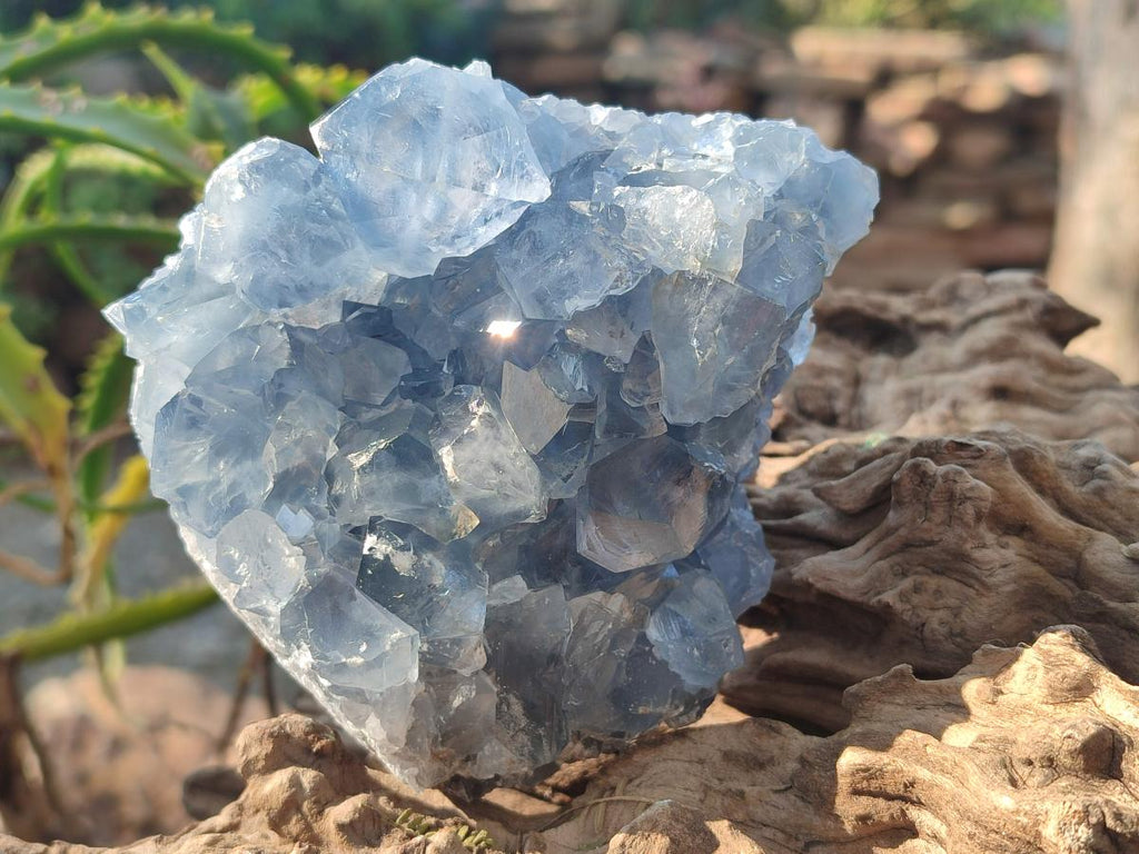 Natural Blue Celestite Specimens x 3 From Sakoany, Madagascar - Toprock Gemstones and Minerals 