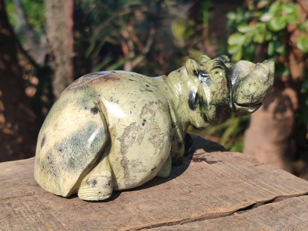 Hand Made Leopard Stone Hippo Carvings x 2 From Nyanga, Zimbabwe - Toprock Gemstones and Minerals 