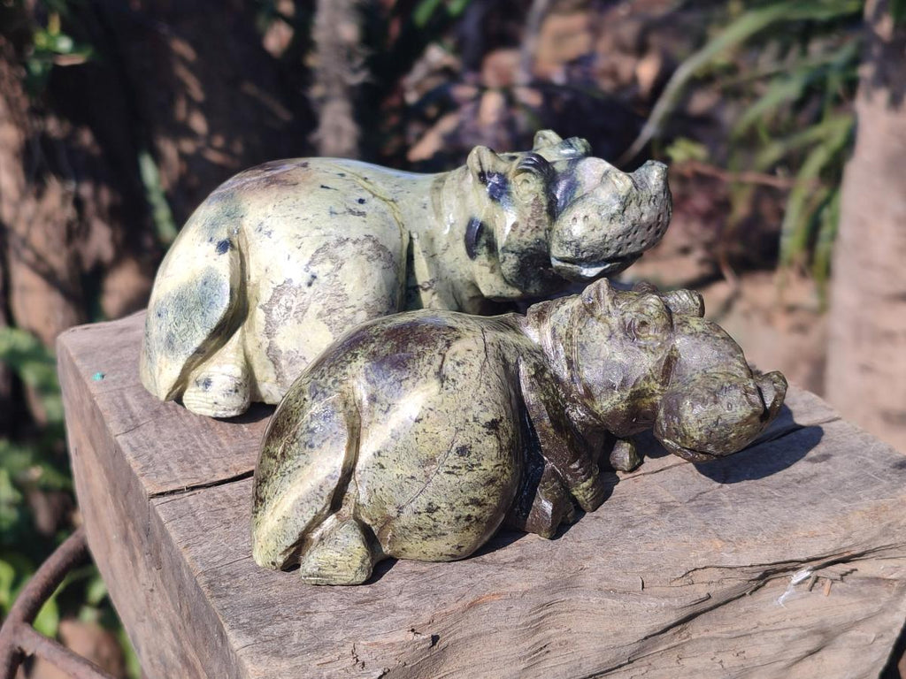Hand Made Leopard Stone Hippo Carvings x 2 From Nyanga, Zimbabwe - Toprock Gemstones and Minerals 