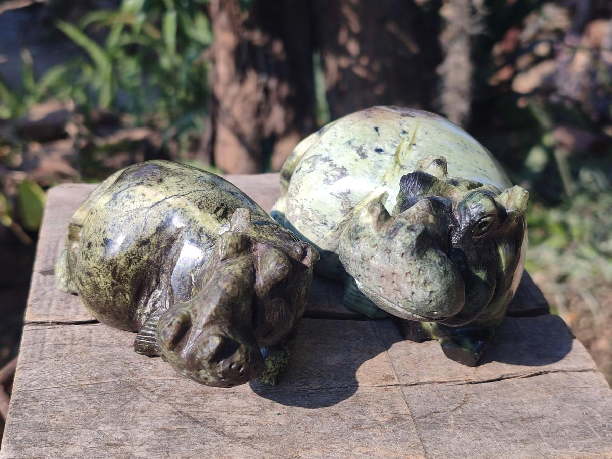 Hand Made Leopard Stone Hippo Carvings x 2 From Nyanga, Zimbabwe - Toprock Gemstones and Minerals 