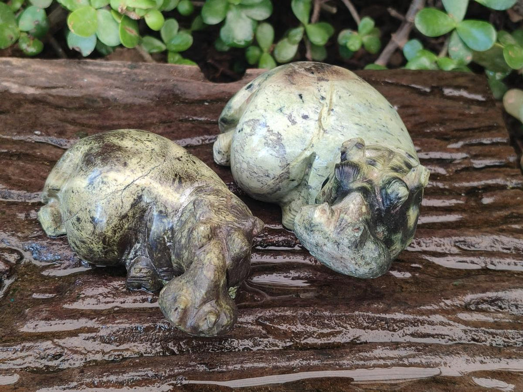 Hand Made Leopard Stone Hippo Carvings x 2 From Nyanga, Zimbabwe - Toprock Gemstones and Minerals 