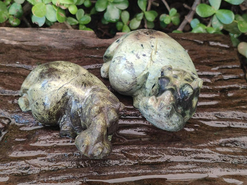 Hand Made Leopard Stone Hippo Carvings x 2 From Nyanga, Zimbabwe - Toprock Gemstones and Minerals 