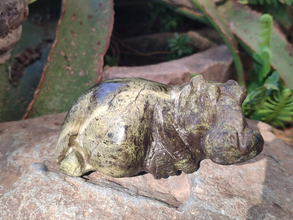Hand Made Leopard Stone Hippo Carvings x 2 From Nyanga, Zimbabwe - Toprock Gemstones and Minerals 