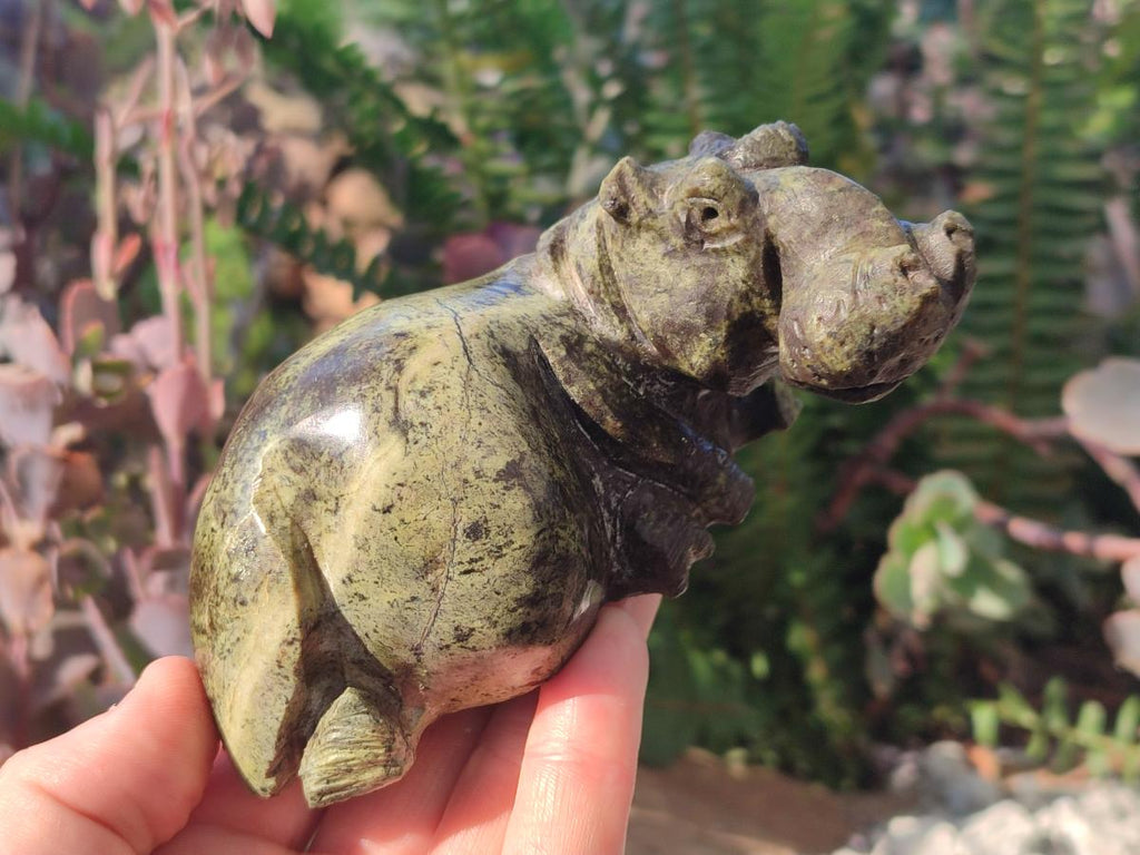 Hand Made Leopard Stone Hippo Carvings x 2 From Nyanga, Zimbabwe - Toprock Gemstones and Minerals 