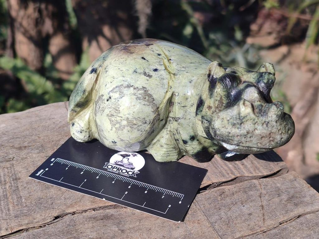 Hand Made Leopard Stone Hippo Carvings x 2 From Nyanga, Zimbabwe - Toprock Gemstones and Minerals 