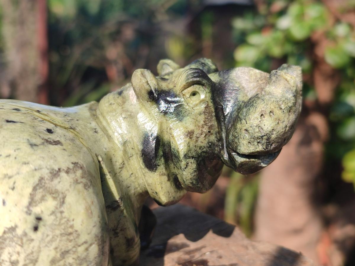 Hand Made Leopard Stone Hippo Carvings x 2 From Nyanga, Zimbabwe - Toprock Gemstones and Minerals 