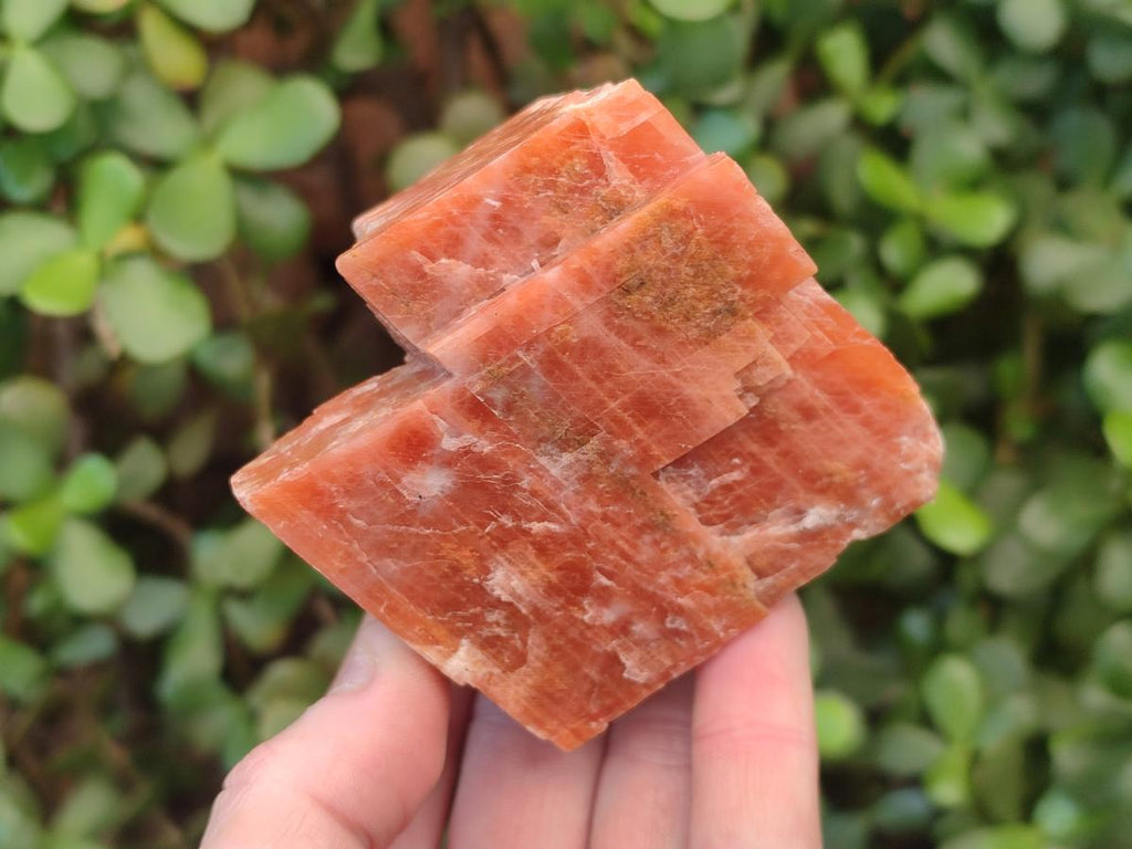 Natural Rhombohedral Sunset Orange Calcite Specimens x 6 From Spitzkop, Namibia - Toprock Gemstones and Minerals 