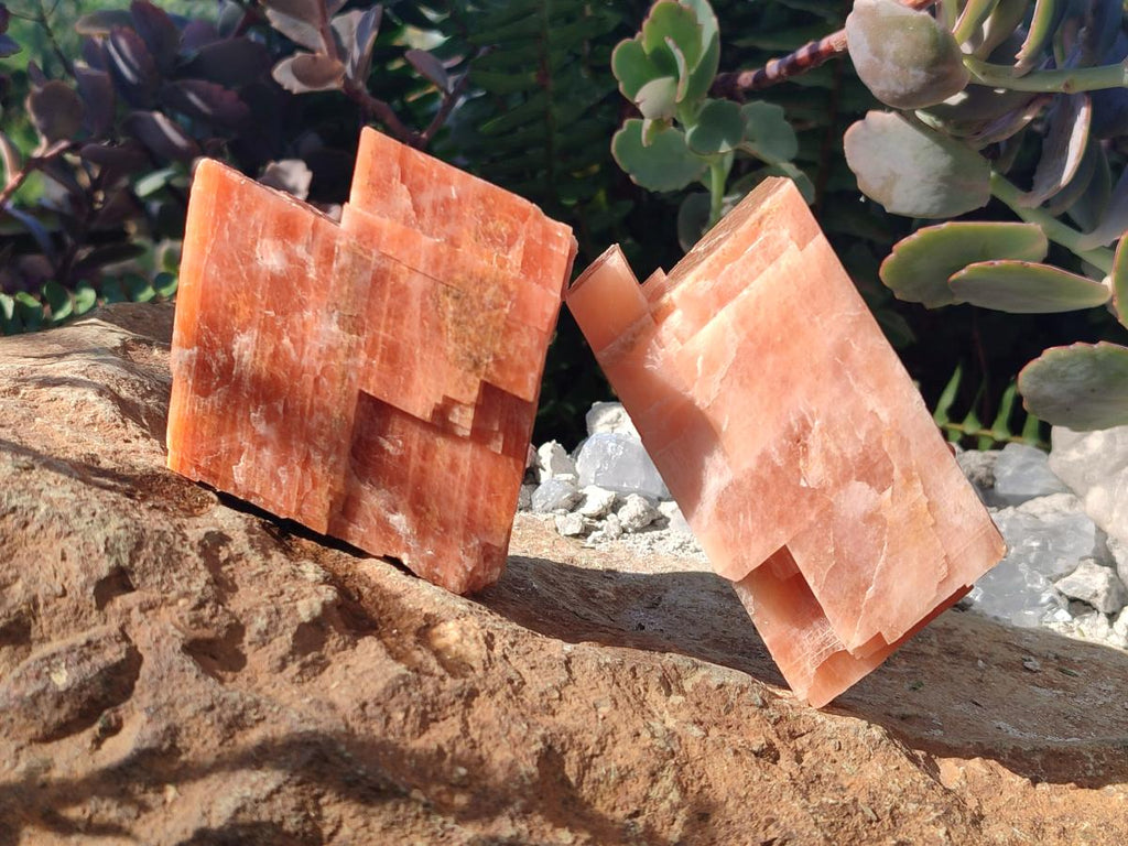 Natural Rhombohedral Sunset Orange Calcite Specimens x 6 From Spitzkop, Namibia - Toprock Gemstones and Minerals 
