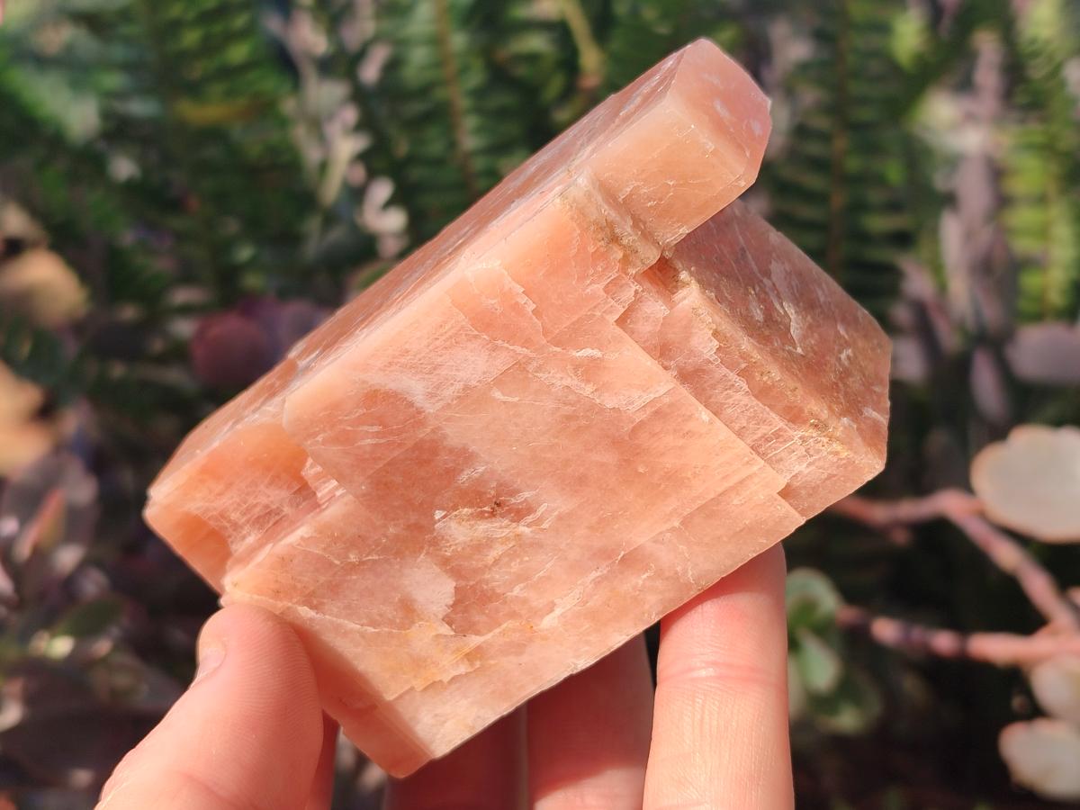 Natural Rhombohedral Sunset Orange Calcite Specimens x 6 From Spitzkop, Namibia - Toprock Gemstones and Minerals 