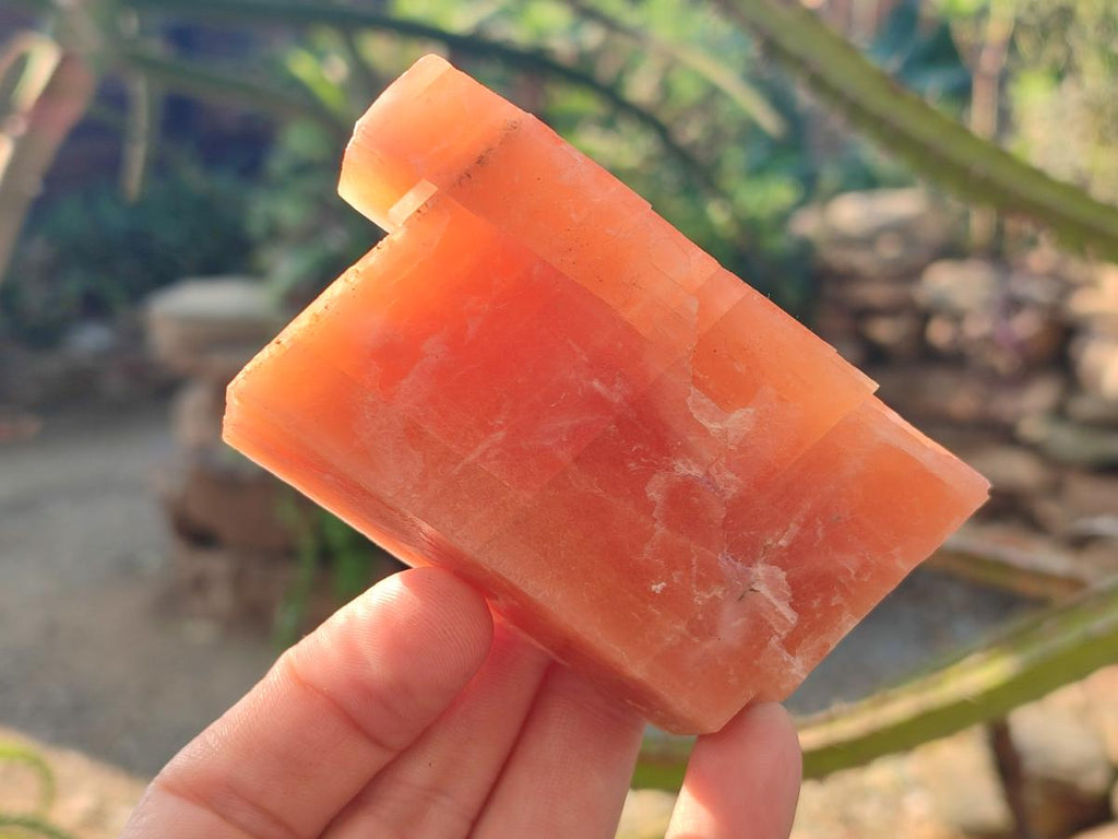 Natural Rhombohedral Sunset Orange Calcite Specimens x 6 From Spitzkop, Namibia - Toprock Gemstones and Minerals 