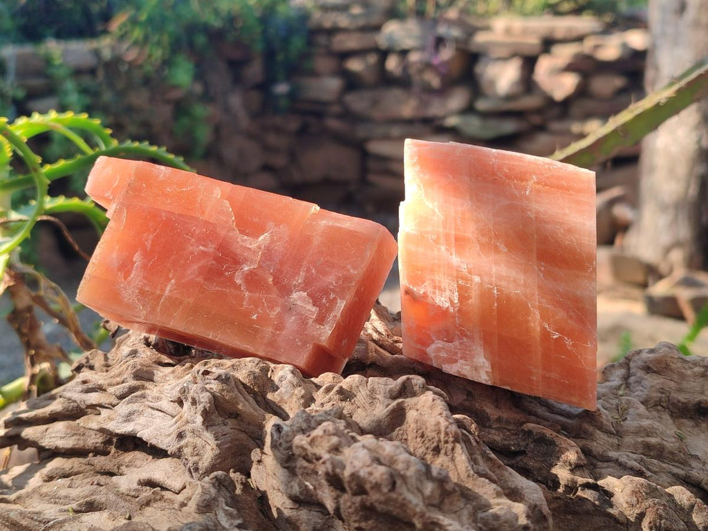 Natural Rhombohedral Sunset Orange Calcite Specimens x 6 From Spitzkop, Namibia - Toprock Gemstones and Minerals 