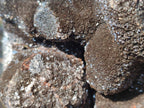 Polished and Natural XL Septerye Sauvage "Dragons Egg" Geode x 1 From Mahajanga, Madagascar - Toprock Gemstones and Minerals 