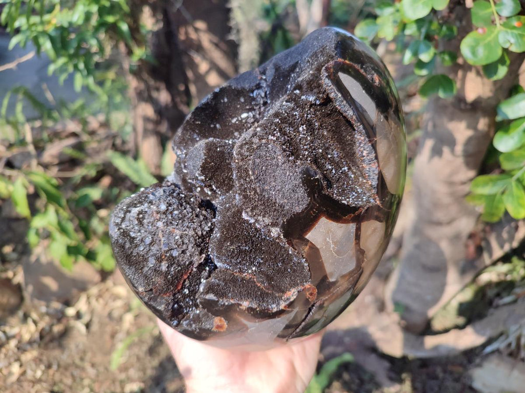 Polished and Natural XL Septerye Sauvage "Dragons Egg" Geode x 1 From Mahajanga, Madagascar - Toprock Gemstones and Minerals 