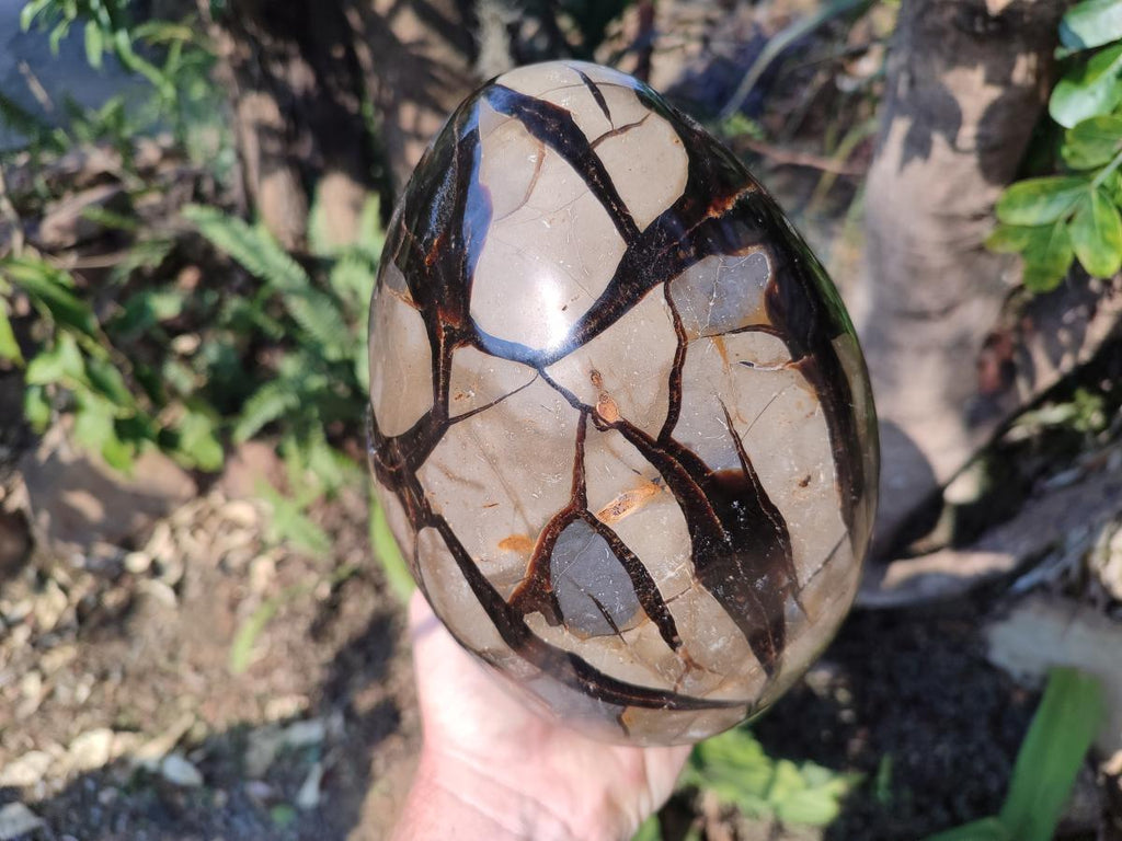 Polished and Natural XL Septerye Sauvage "Dragons Egg" Geode x 1 From Mahajanga, Madagascar - Toprock Gemstones and Minerals 