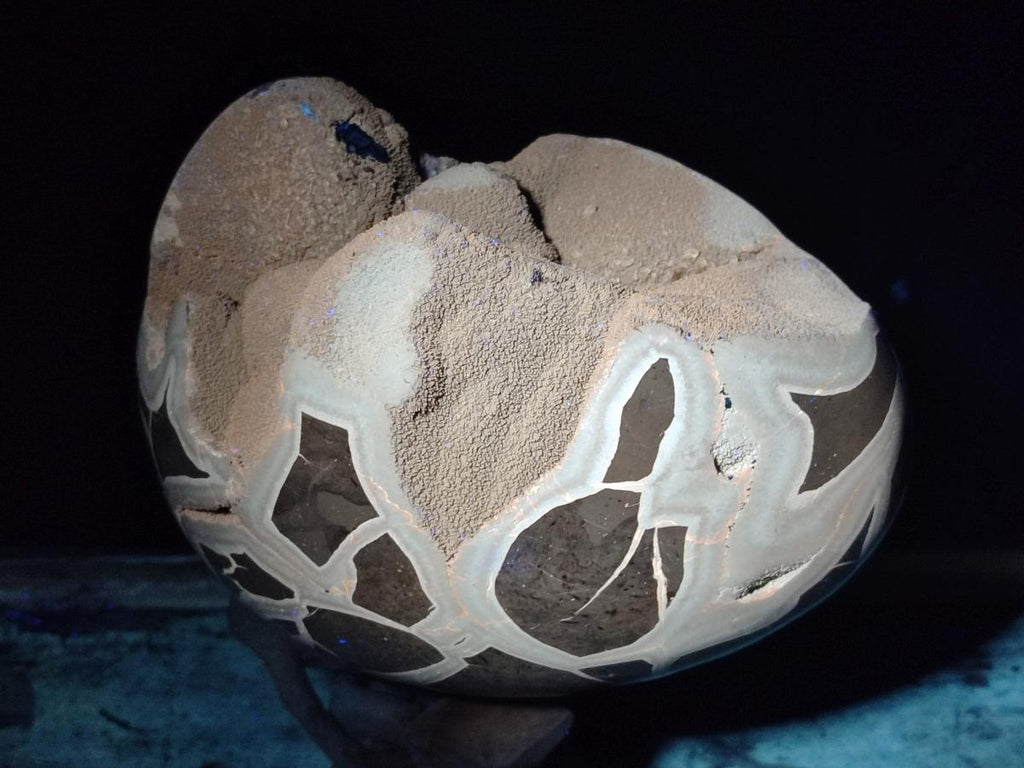 Polished and Natural XL Septerye Sauvage "Dragons Egg" Geode x 1 From Mahajanga, Madagascar - Toprock Gemstones and Minerals 
