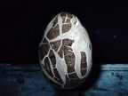 Polished and Natural XL Septerye Sauvage "Dragons Egg" Geode x 1 From Mahajanga, Madagascar - Toprock Gemstones and Minerals 