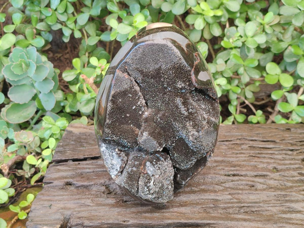 Polished and Natural XL Septerye Sauvage "Dragons Egg" Geode x 1 From Mahajanga, Madagascar - Toprock Gemstones and Minerals 