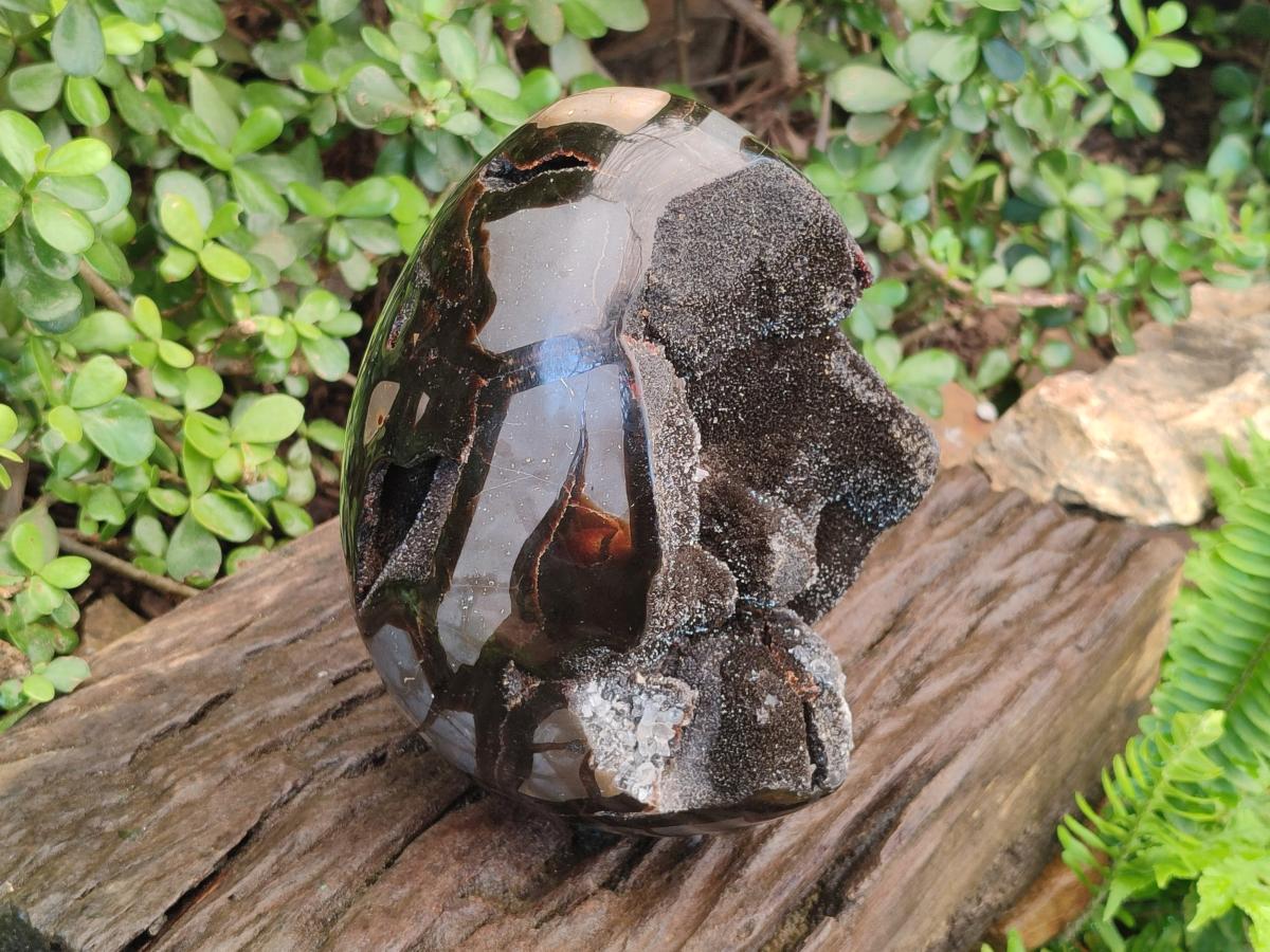 Polished and Natural XL Septerye Sauvage "Dragons Egg" Geode x 1 From Mahajanga, Madagascar - Toprock Gemstones and Minerals 