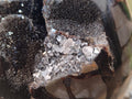 Polished and Natural XL Septerye Sauvage "Dragons Egg" Geode x 1 From Mahajanga, Madagascar - Toprock Gemstones and Minerals 