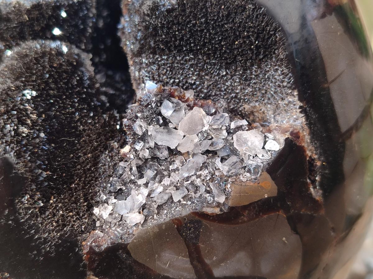 Polished and Natural XL Septerye Sauvage "Dragons Egg" Geode x 1 From Mahajanga, Madagascar - Toprock Gemstones and Minerals 