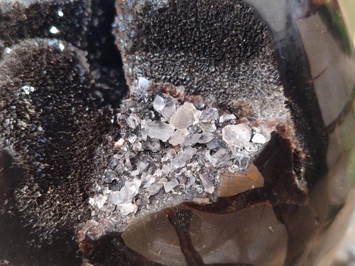 Polished and Natural XL Septerye Sauvage "Dragons Egg" Geode x 1 From Mahajanga, Madagascar - Toprock Gemstones and Minerals 
