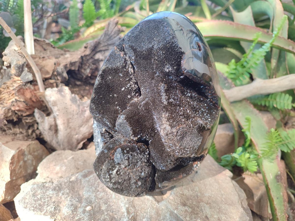 Polished and Natural XL Septerye Sauvage "Dragons Egg" Geode x 1 From Mahajanga, Madagascar - Toprock Gemstones and Minerals 