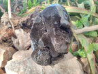 Polished and Natural XL Septerye Sauvage "Dragons Egg" Geode x 1 From Mahajanga, Madagascar - Toprock Gemstones and Minerals 